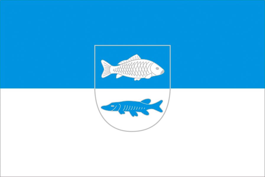 Flagge / Fahne Gemeinde Elster