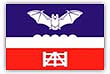 Flagge / Fahne Gemeinde Fiefbergen