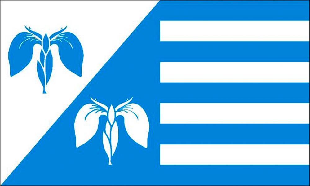 Flagge / Fahne Gemeinde Troendel