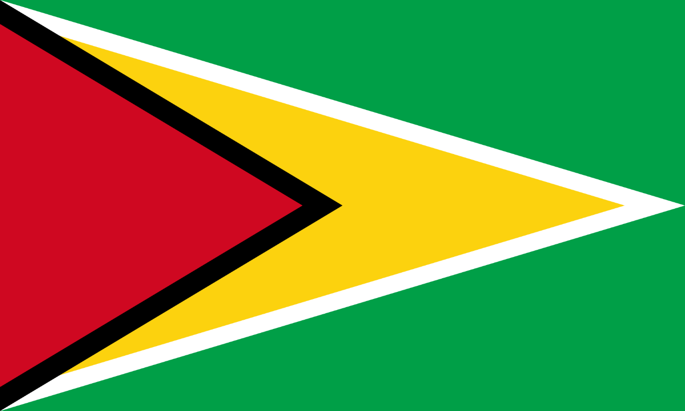 Flagge Land Guyana