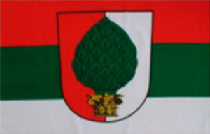 Flagge / Fahne Stadt Augsburg