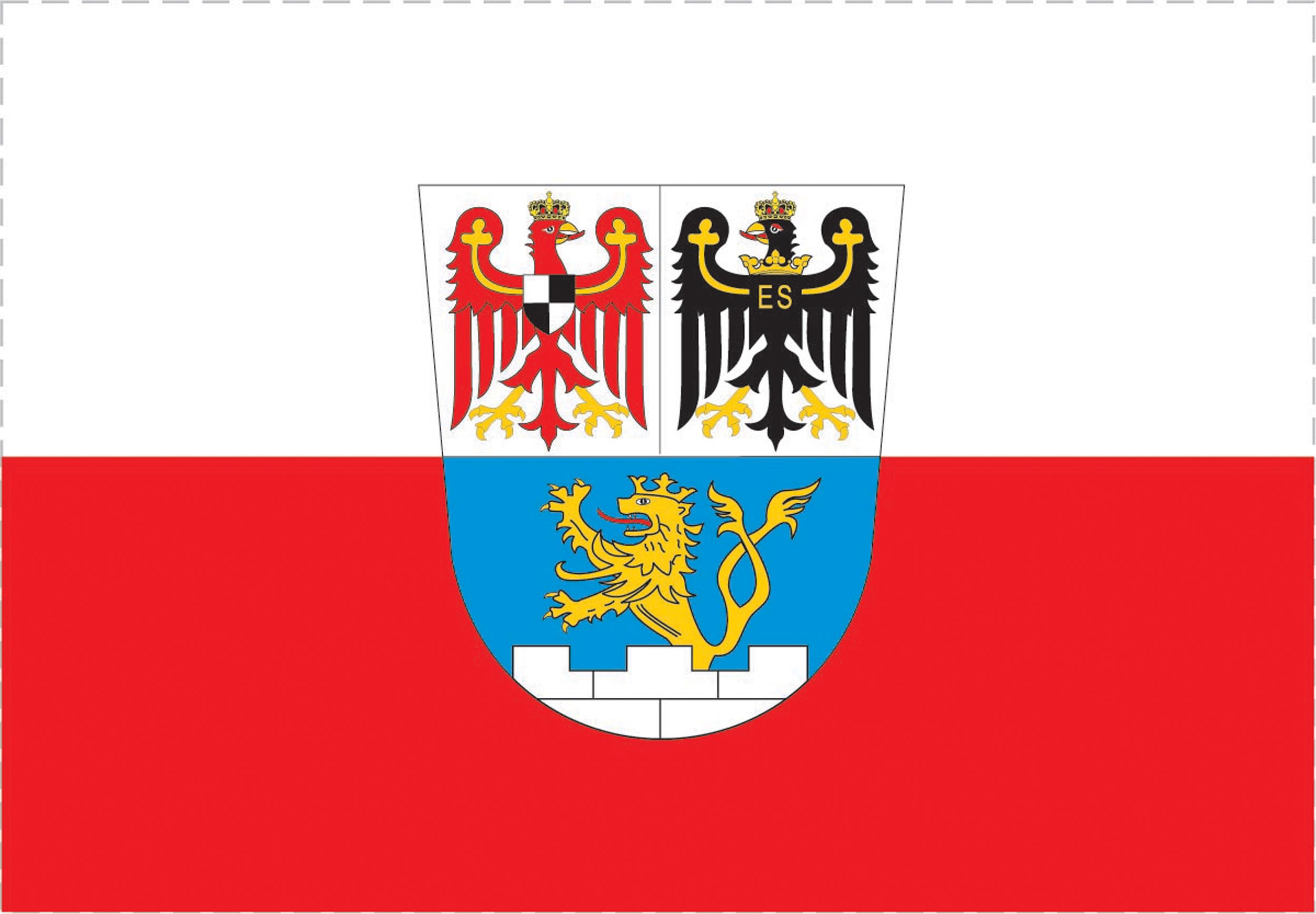 Flagge / Fahne  Stadt Erlangen